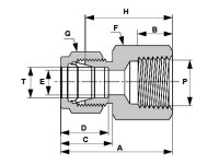 Female-Tube-Fitting-Connector2
